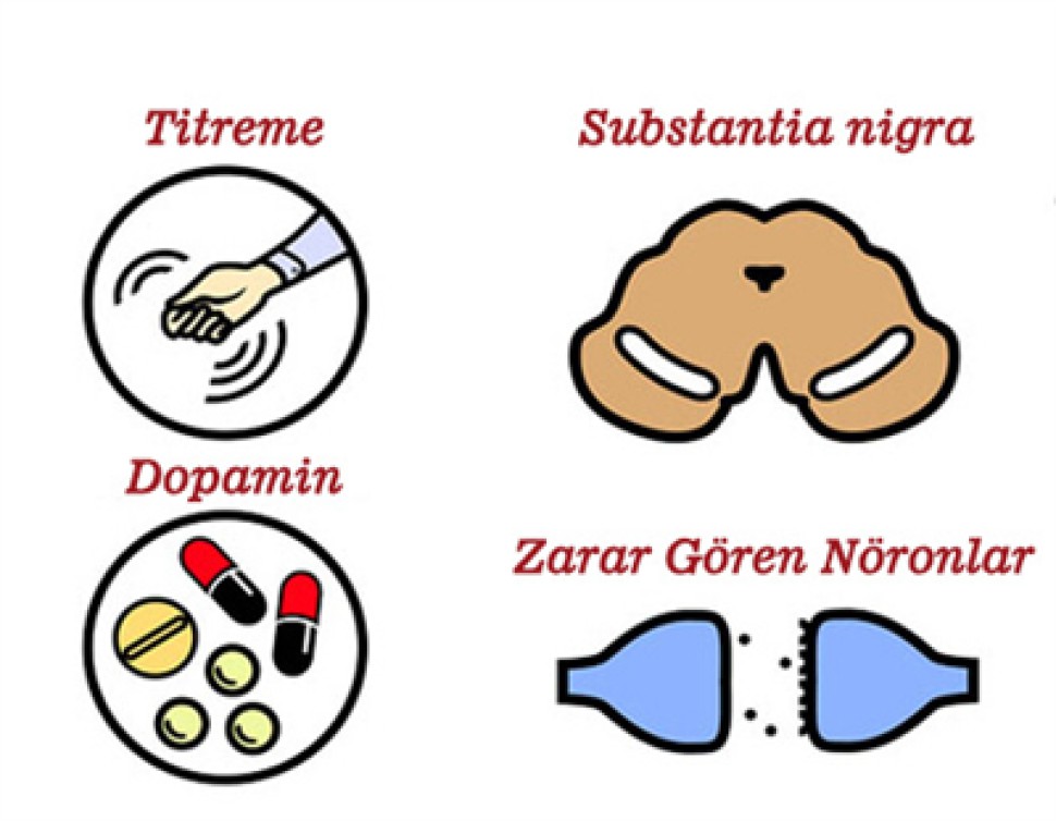PARKİNSONİZM VE PARKİNSON